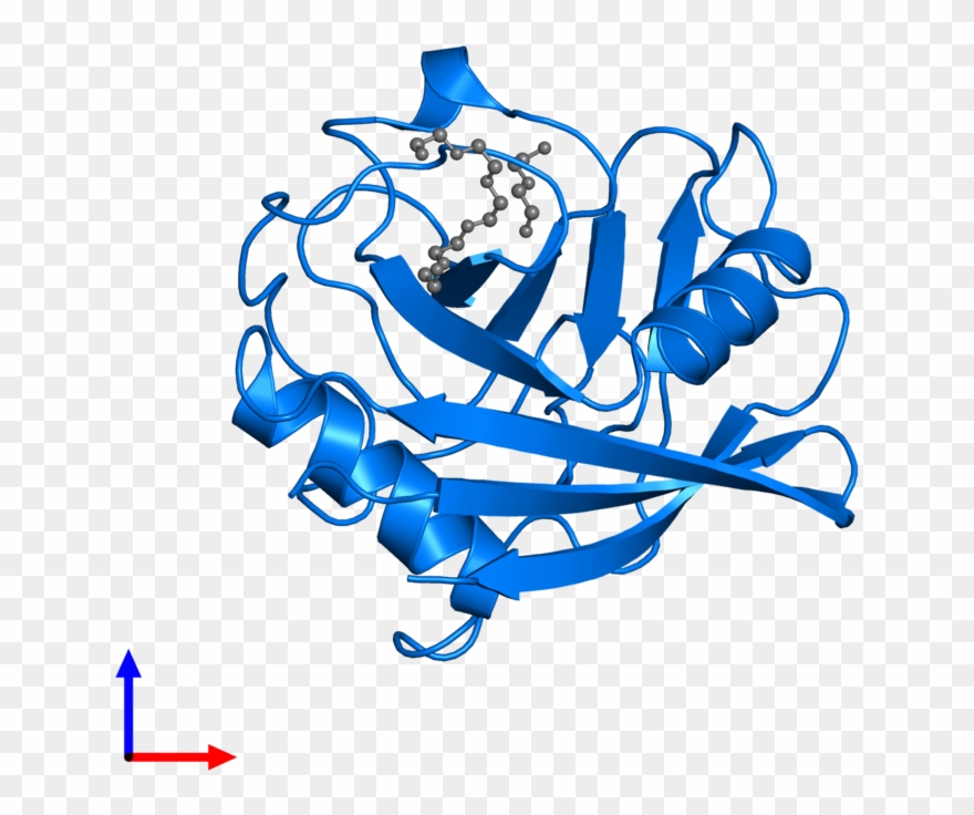 <div Class='caption-body'>pdb Entry 4o8h Contains 1 - Graphic Design Clipart