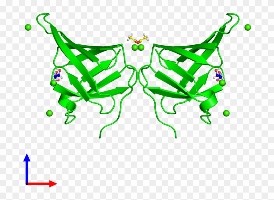 Dimeric Assembly 1 Of Pdb Entry 5cyb Coloured By Chemically - Illustration Clipart