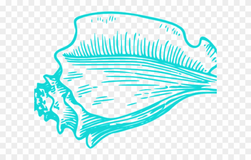 Shell Clipart Teal - Clip Art Conch Shell Png Transparent Png