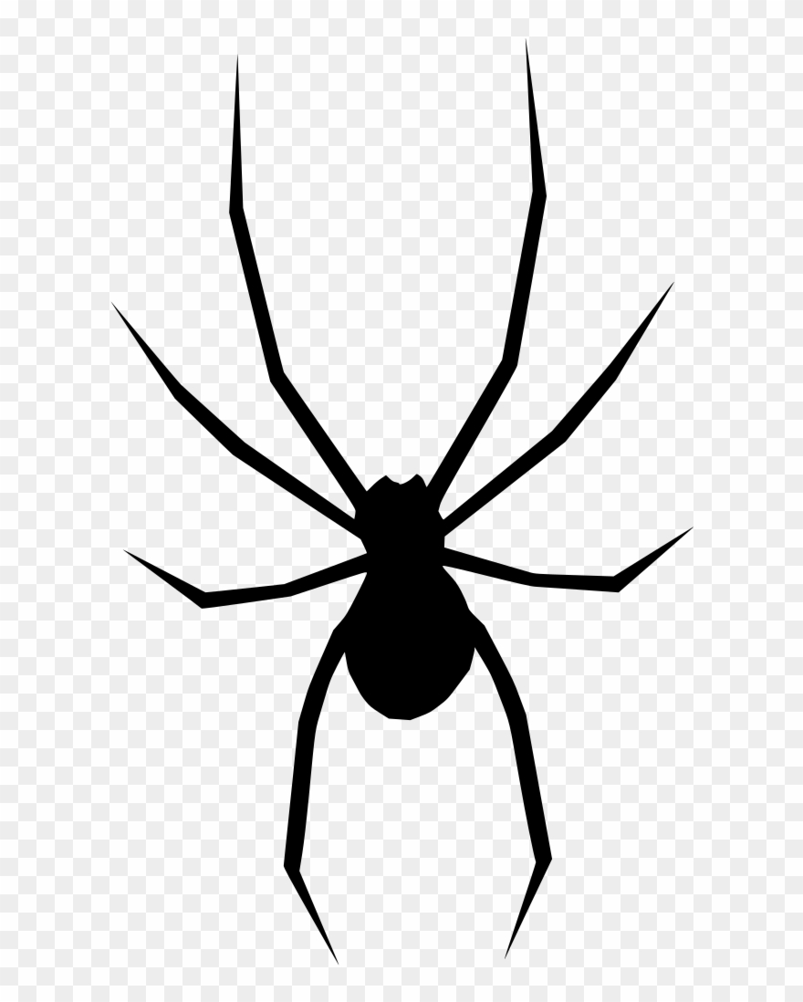 Info - Black Widow Spider Logo Clipart