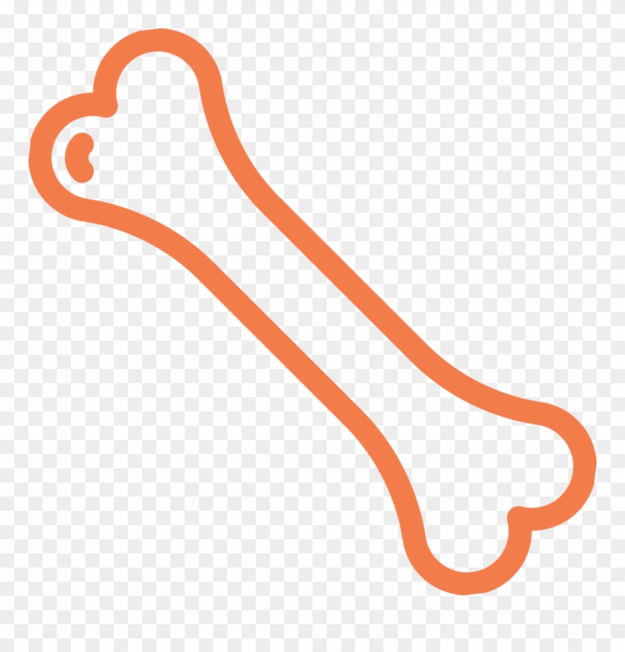 Bone Ecm Cell Culture Substrates Clipart