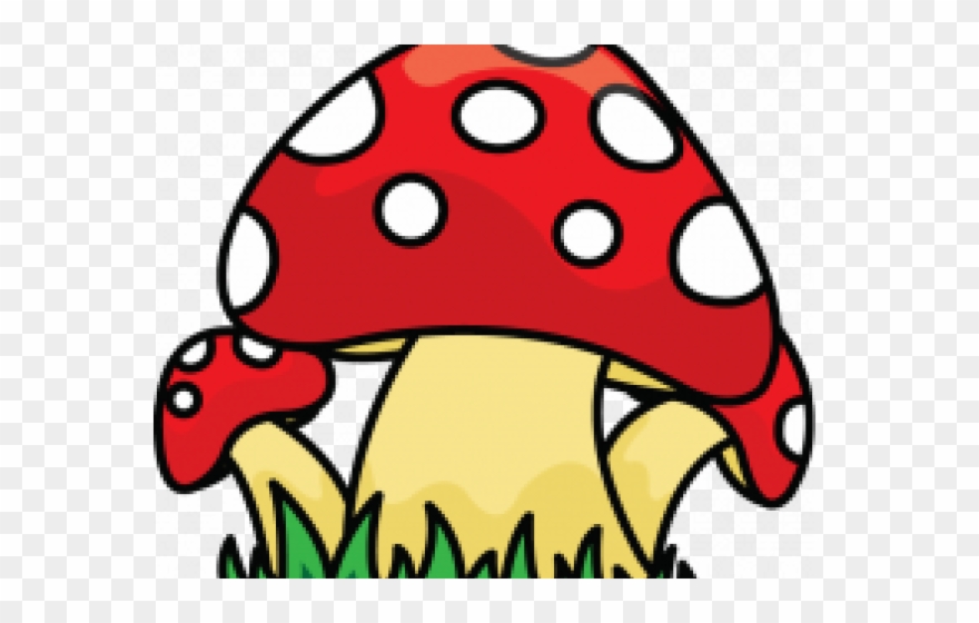 Drawn Mushroom Wild Mushroom - Mushrooms Draw Png Clipart