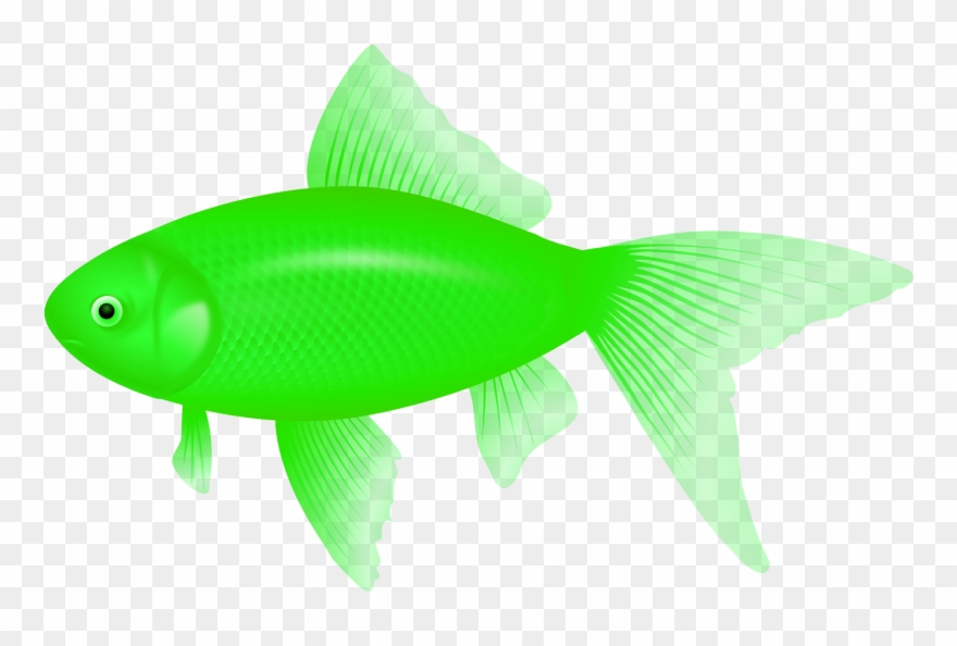 Clipart Of Fish, Ultra And Fish Of - Feeder Fish - Png Download