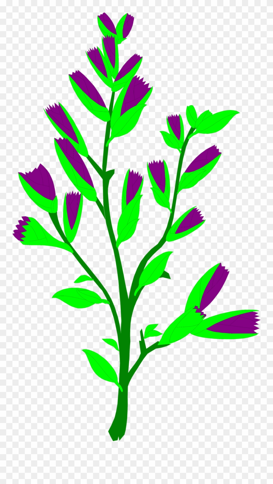 Sagebrush Free Stock Photo Illustration Of A Sagebrush - Sage Brush Clipart - Png Download