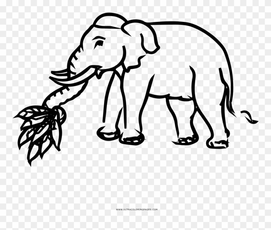 Indian Elephant Clipart