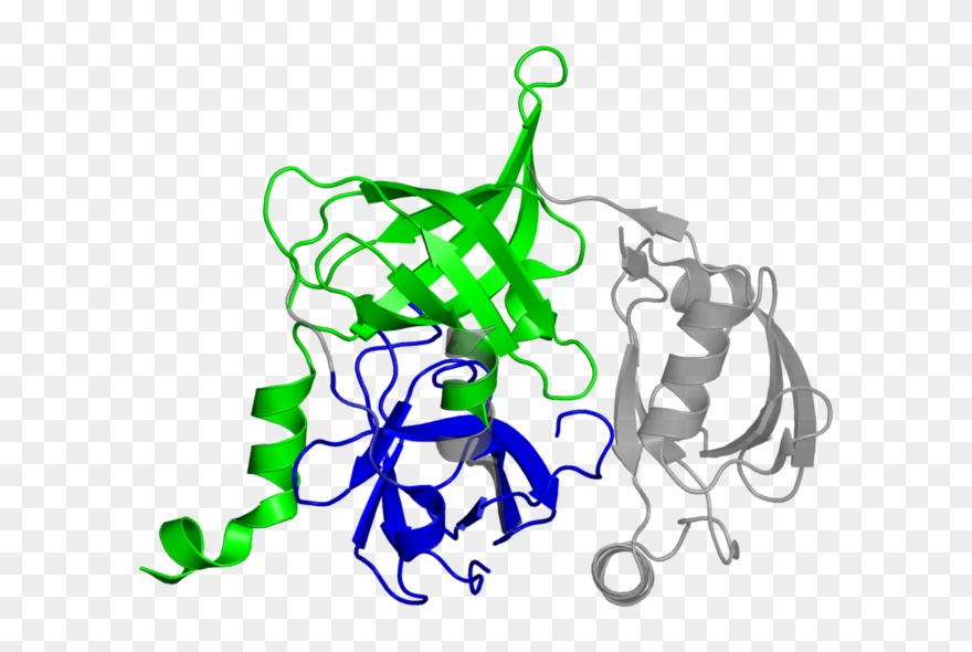<div Class='caption-body'>2 Copies Of Cath Domain < - Graphic Design Clipart