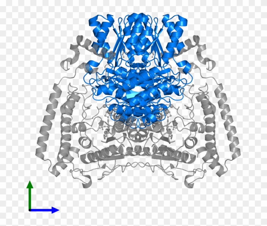 <div Class='caption-body'>pdb Entry 1x7w Contains 2 - Illustration Clipart