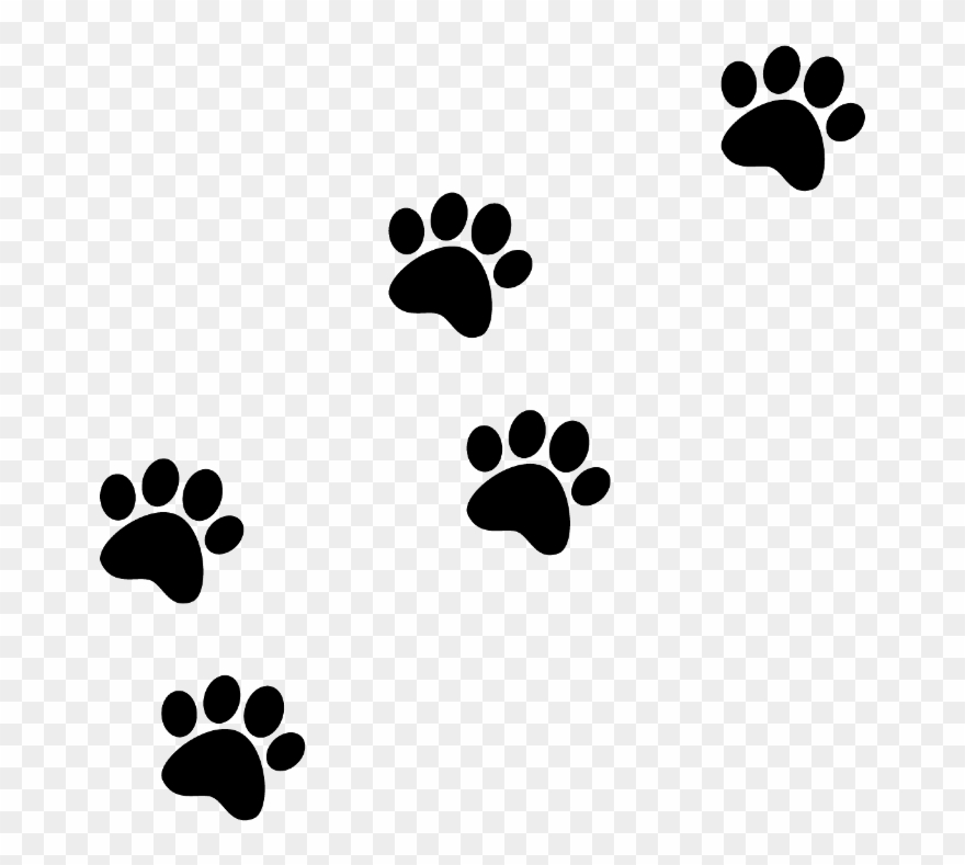 Report Abuse - 年賀 背景 犬 足跡 Clipart