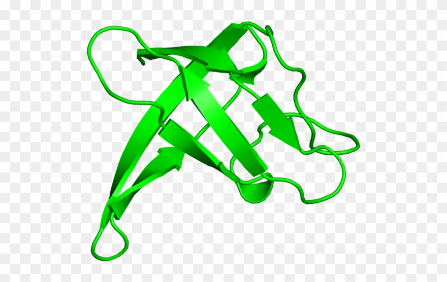 <div Class='caption-body'>1 Copy Of Cath Domain - Illustration Clipart