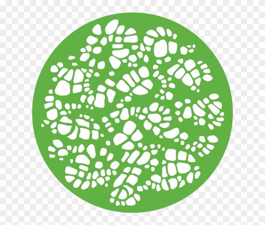 Turtle Shell Clipart