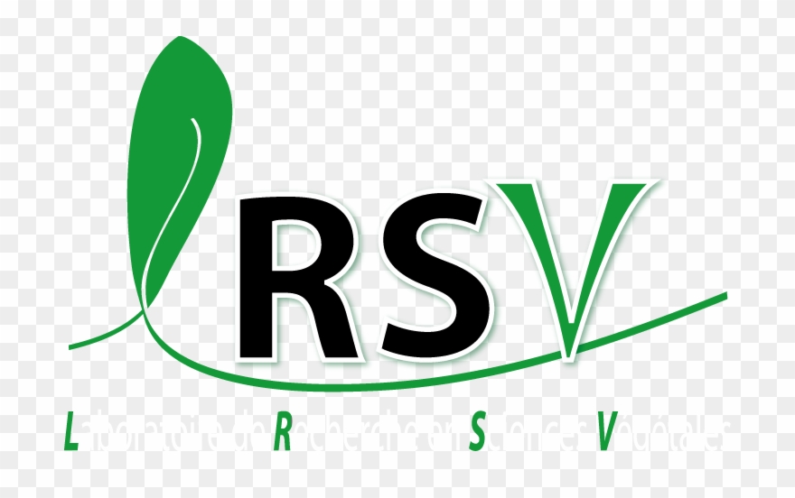 Since Its Creation In 1988, Our Laboratory Has Diversified - Lrsv Clipart