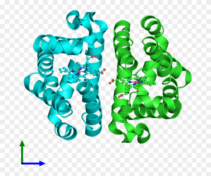Pdb 5hbi Coloured By Chain And Viewed From The Front Clipart