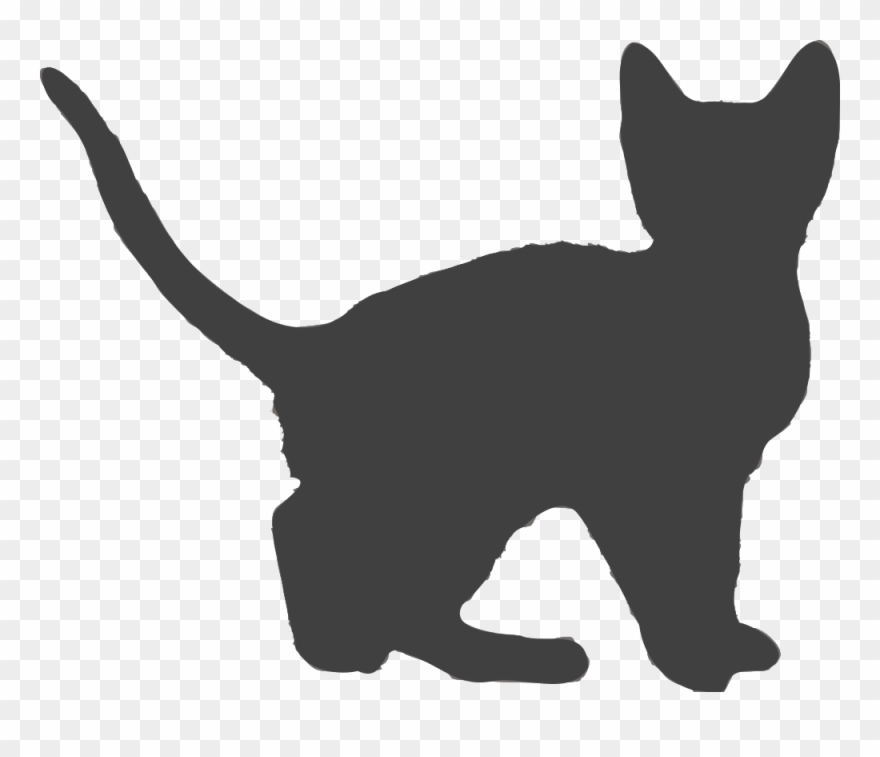 Clip Art Details - Domestic Short-haired Cat - Png Download