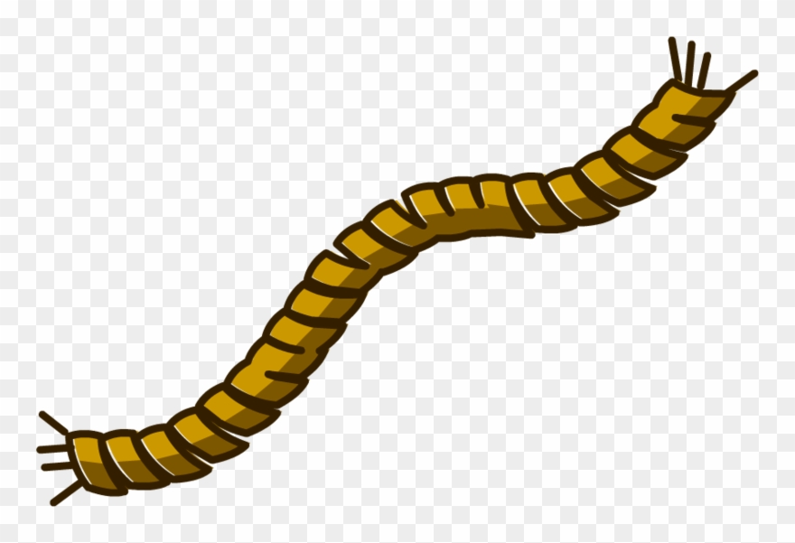 Png Seil Pluspng - Rope Clipart