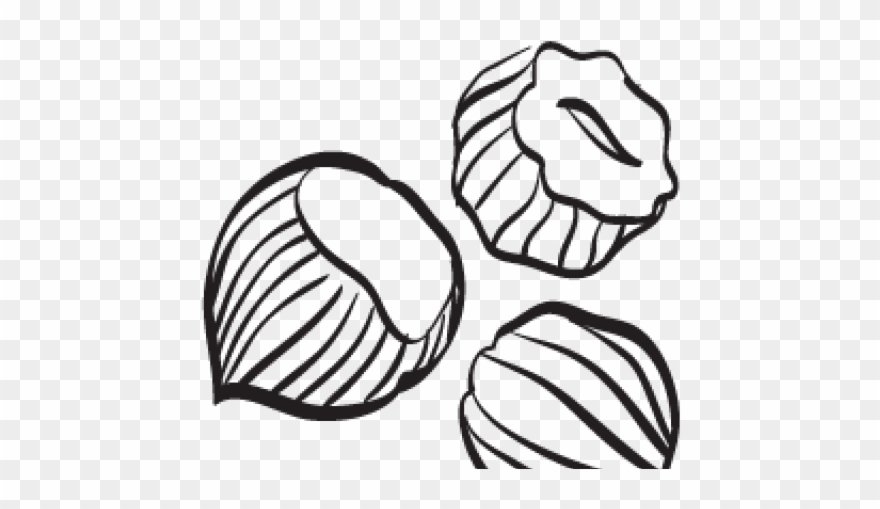 Hazelnut Clipart Black And White - Png Download