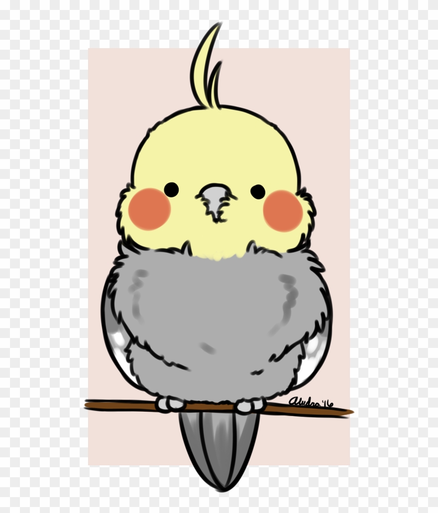 Cockatiel - Cockatiel Clip Art Transparent - Png Download