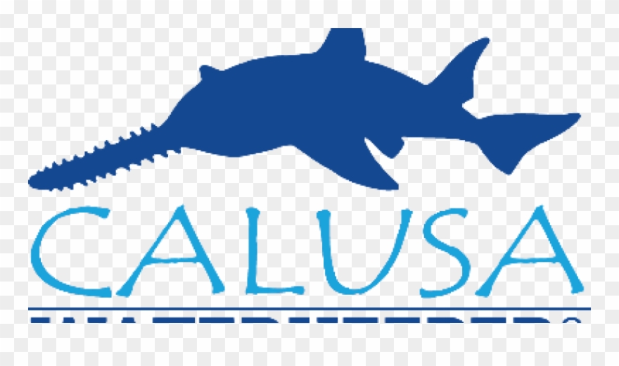 Fort Myers Articles - Calusa Waterkeeper Clipart
