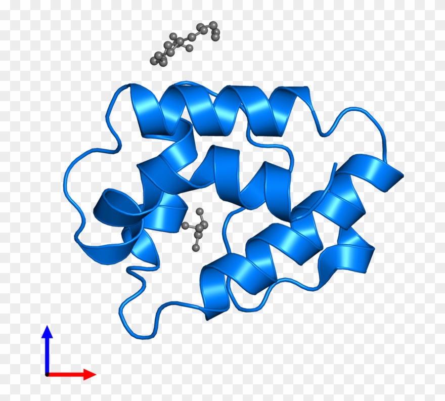 <div Class='caption-body'>pdb Entry 5tvi Contains 1 - Graphic Design Clipart