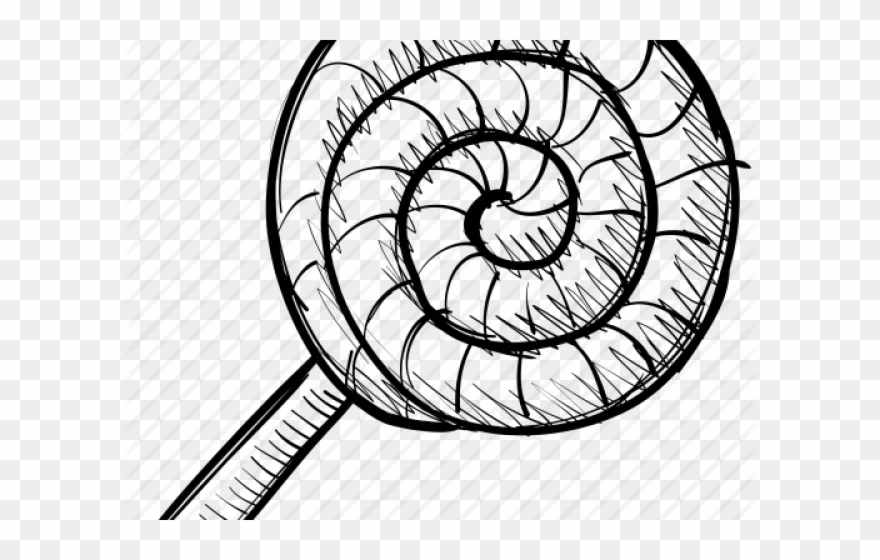 Mollusc Clipart Candy - Sketch - Png Download