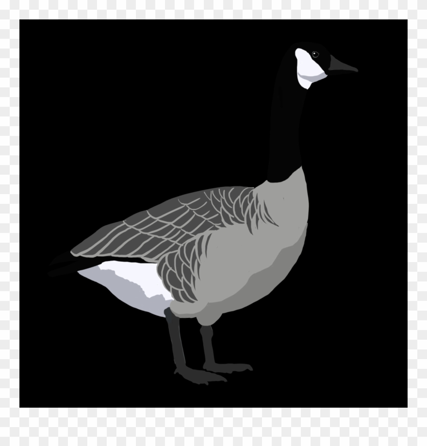 Duck Clipart