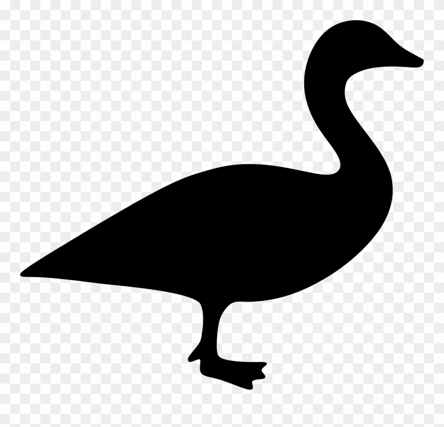 Duck Clipart
