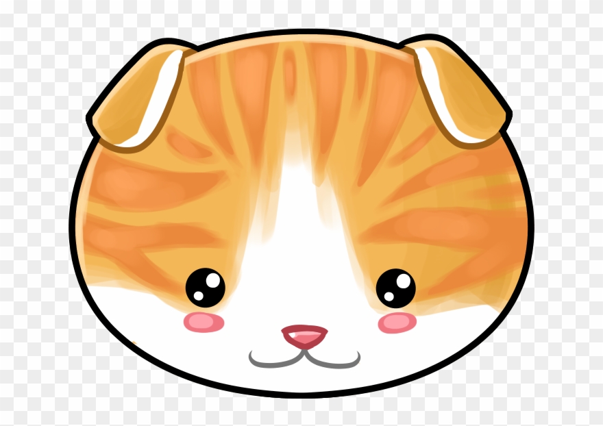 Scottish Fold Cat Clipart