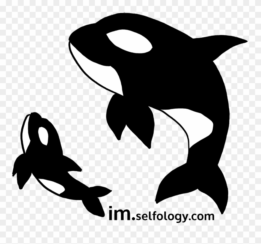 By Cezanne Keratin Treatment, A “medihair” Experience - Illustration Clipart