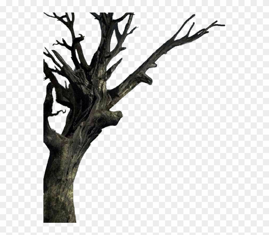 Isolated The Tree - Spooky Tree Transparent Clipart