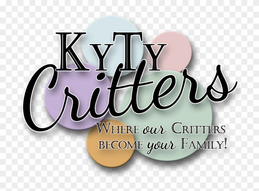Graphic Design Clipart