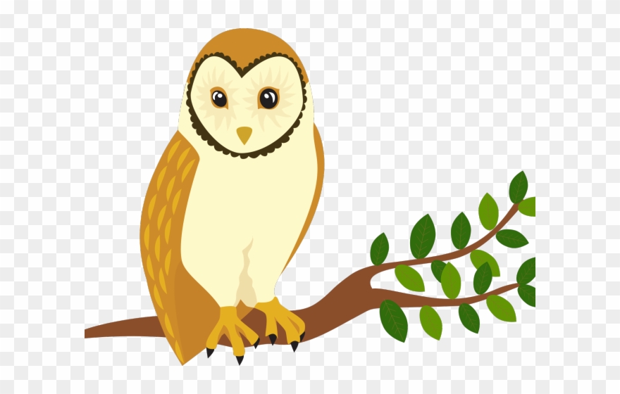 Bird Of Prey Clipart Barn Owl - Perch Clipart - Png Download