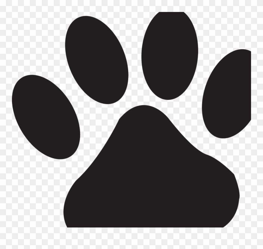 Brown Bear Is A Mammal That Inhabits Forest And Mountainous Clipart