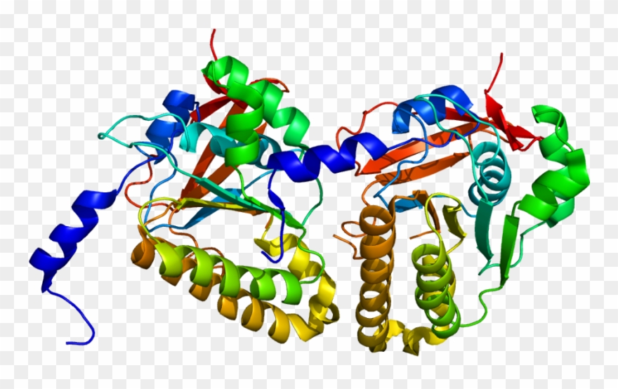 Dmc1 Protein Clipart