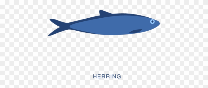 Herring Clipart Transparent - Shark - Png Download