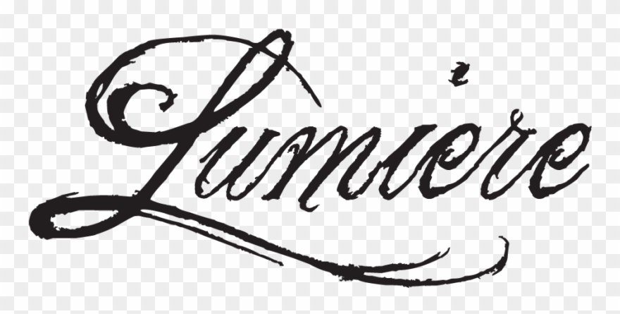 I Always Wanted To Be A Fashion Photographer, But I - Lumiere Calligraphy Clipart