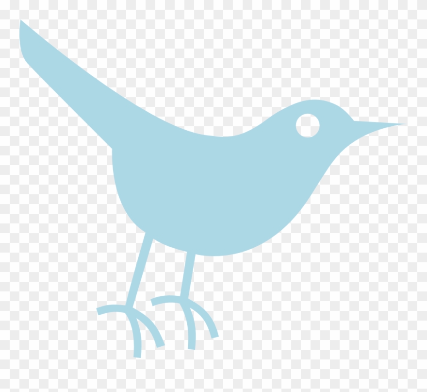 Twitter Bird Tweet Tweet 28 999px - Social Media Clipart