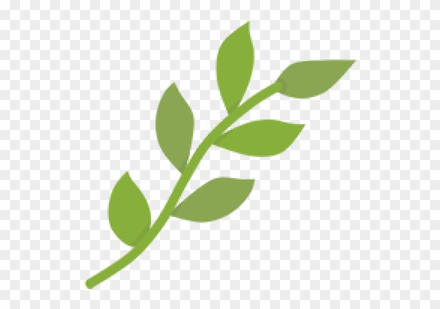 Know Your Farmer Details - Png Leaves On Branch Clipart