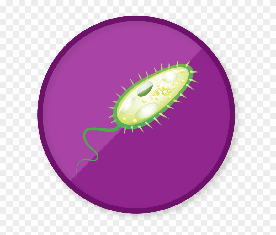 Win A Badge - Circle Clipart