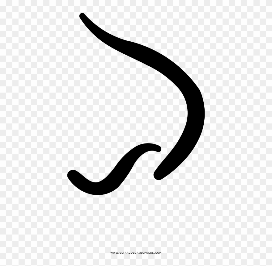 Nariz Página Para Colorear - Calligraphy Clipart