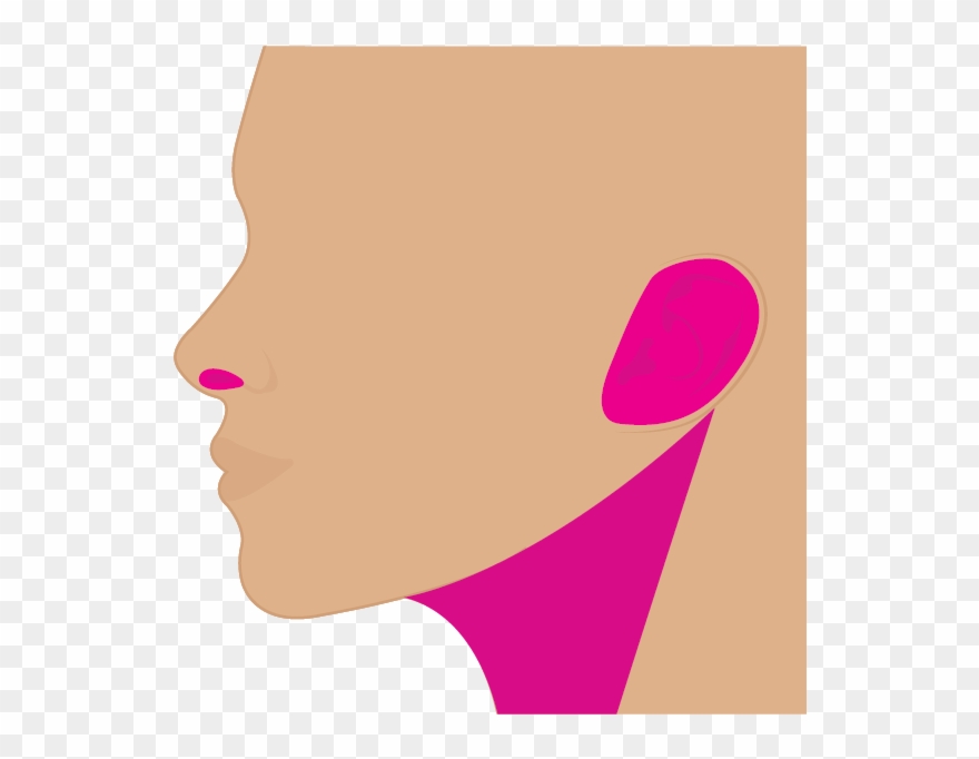 Ojeras Nariz Cuello Clipart
