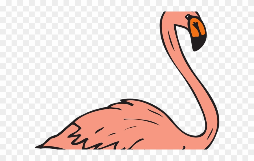 Flamingo Clipart Real - Flamingo Birds Swimming - Png Download