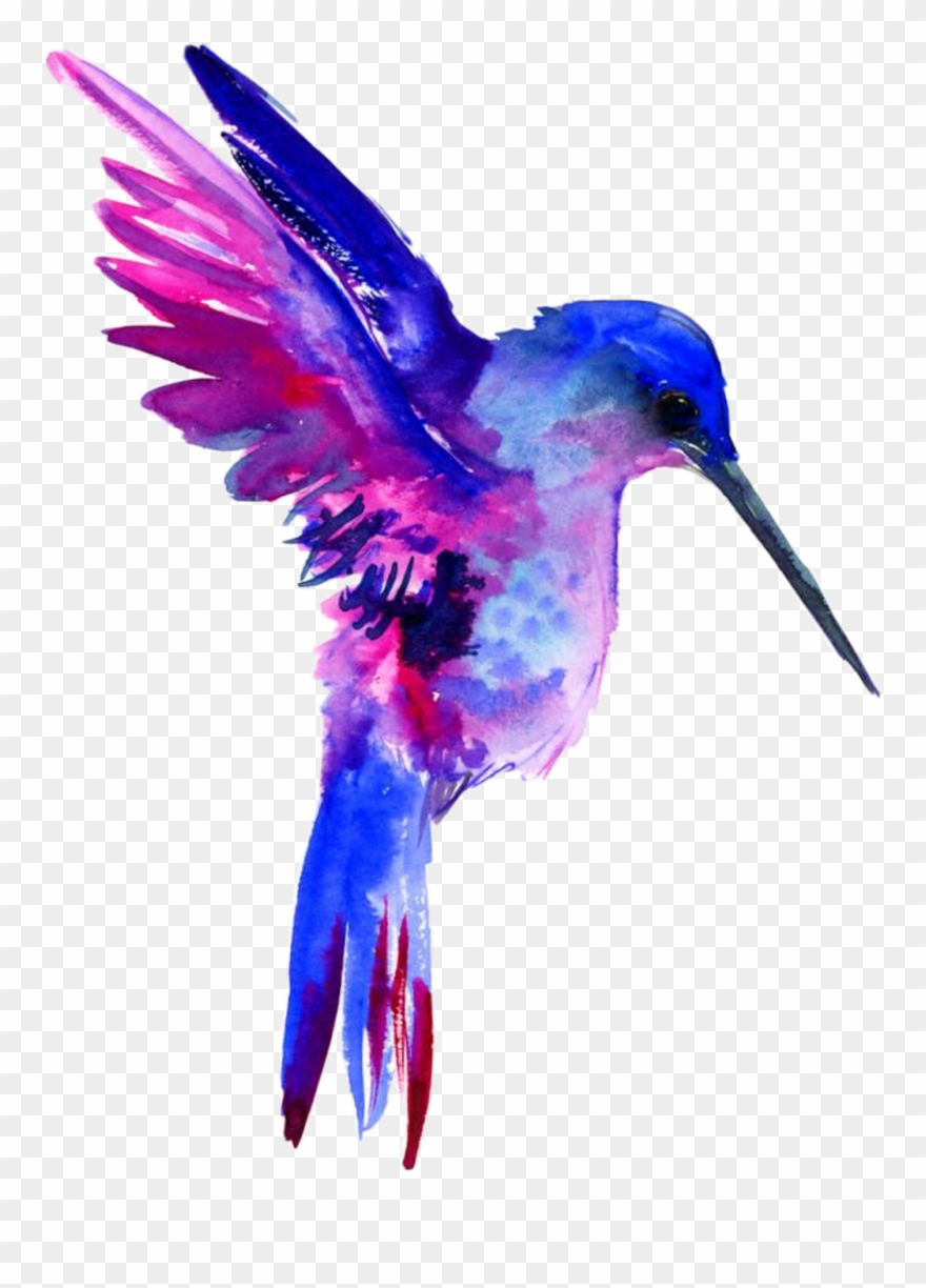 Report Abuse - Watercolor Hummingbird Clipart Free - Png Download