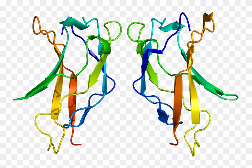 Rel Protein Structure Clipart