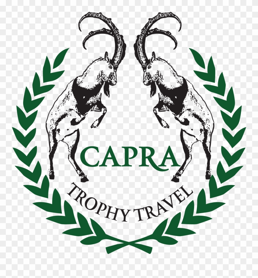 Olympic Flame Clipart