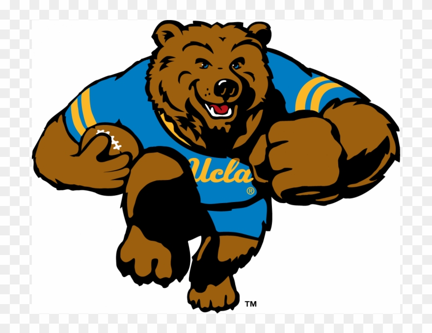 Ucla Bruins Iron On Stickers And Peel-off Decals - Transparent Ucla Bruins Mascot Clipart