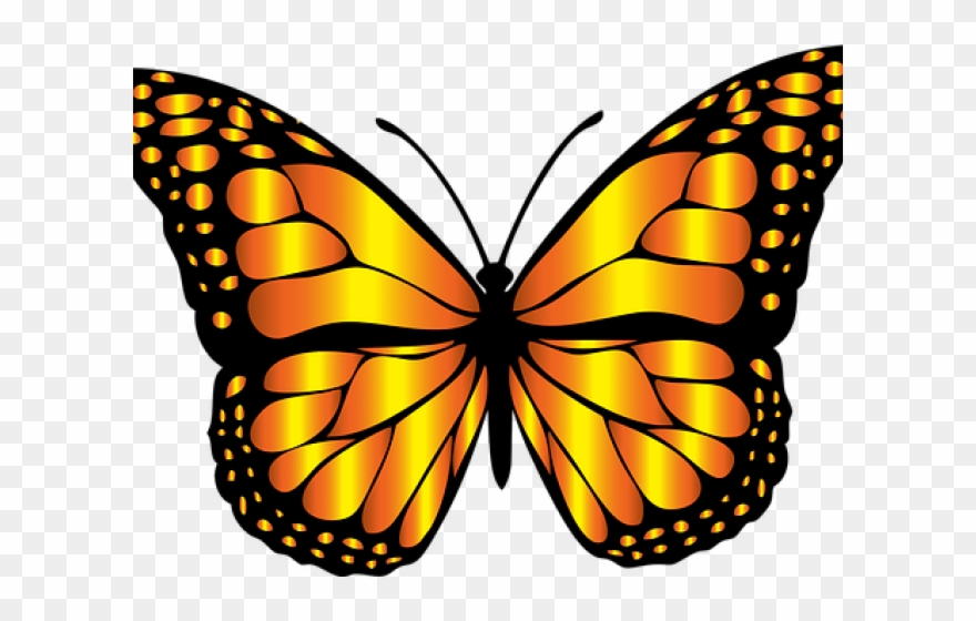 Monarch Butterfly Clipart Png Full Hd - Butterfly Insect Clipart Transparent Png