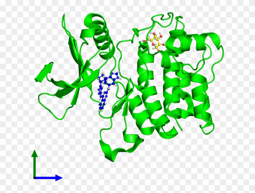 Three Structures Of The Human Gene Product In The Pdb - Illustration Clipart