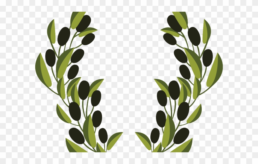 Olive Clipart Vector - Olive Branch Clip Art - Png Download