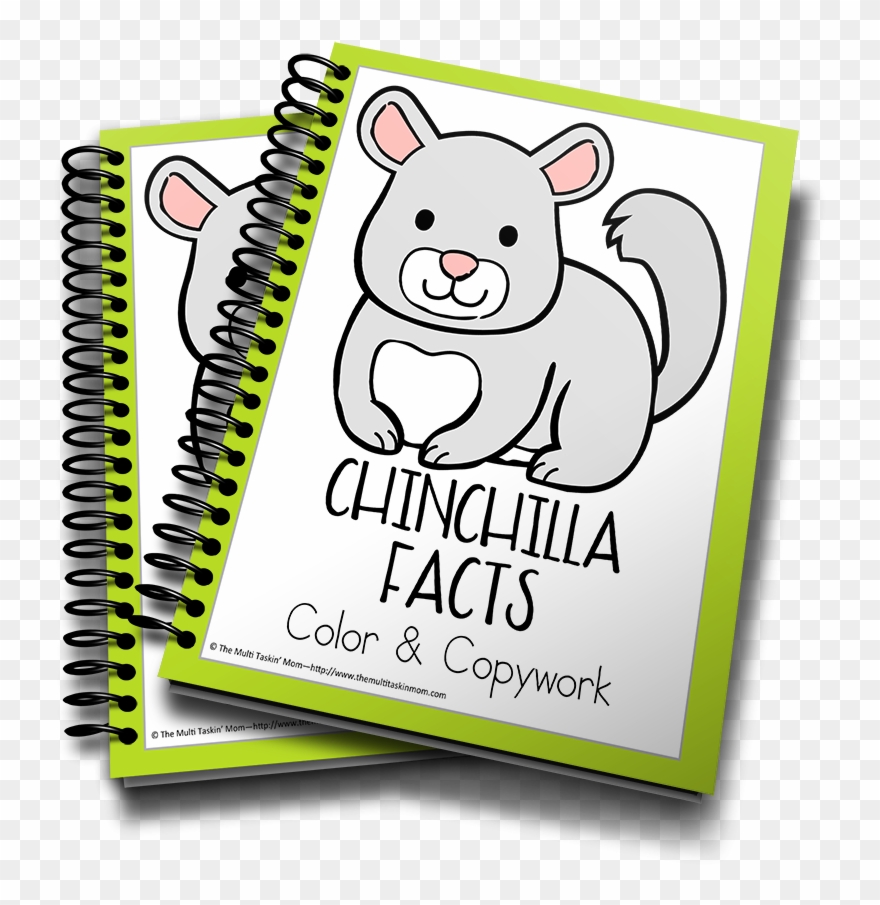Chinchilla - Savings Tracker Coloring Pages Clipart
