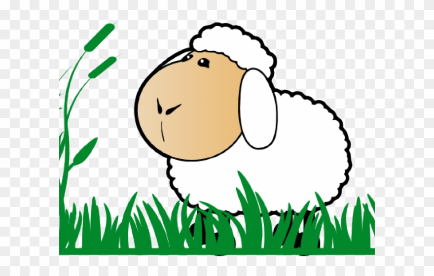 Grass Clipart Sheep - Cartoon Sheep - Png Download