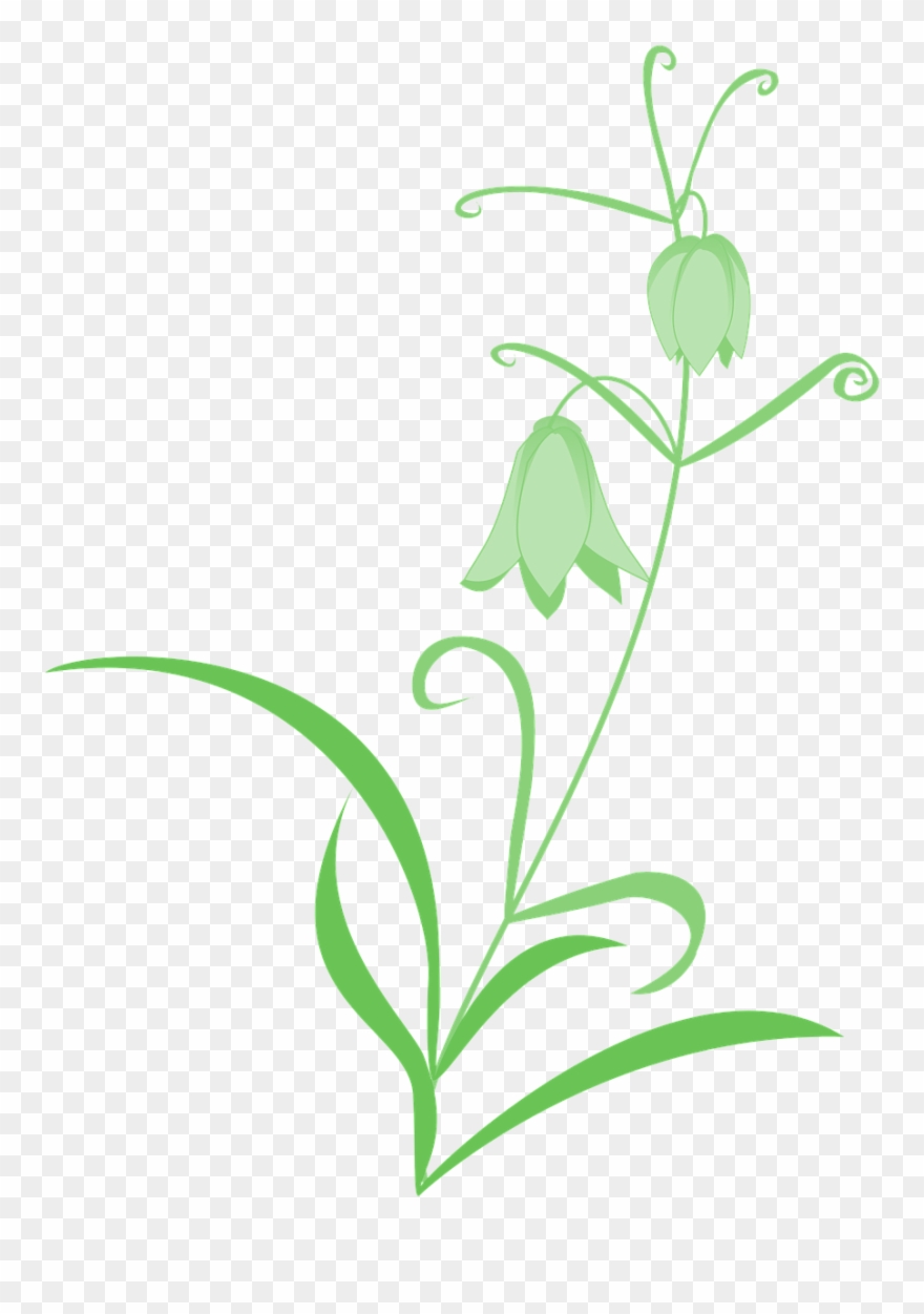 Pictures, Free Photos, - Green Flowers Transparent Clipart